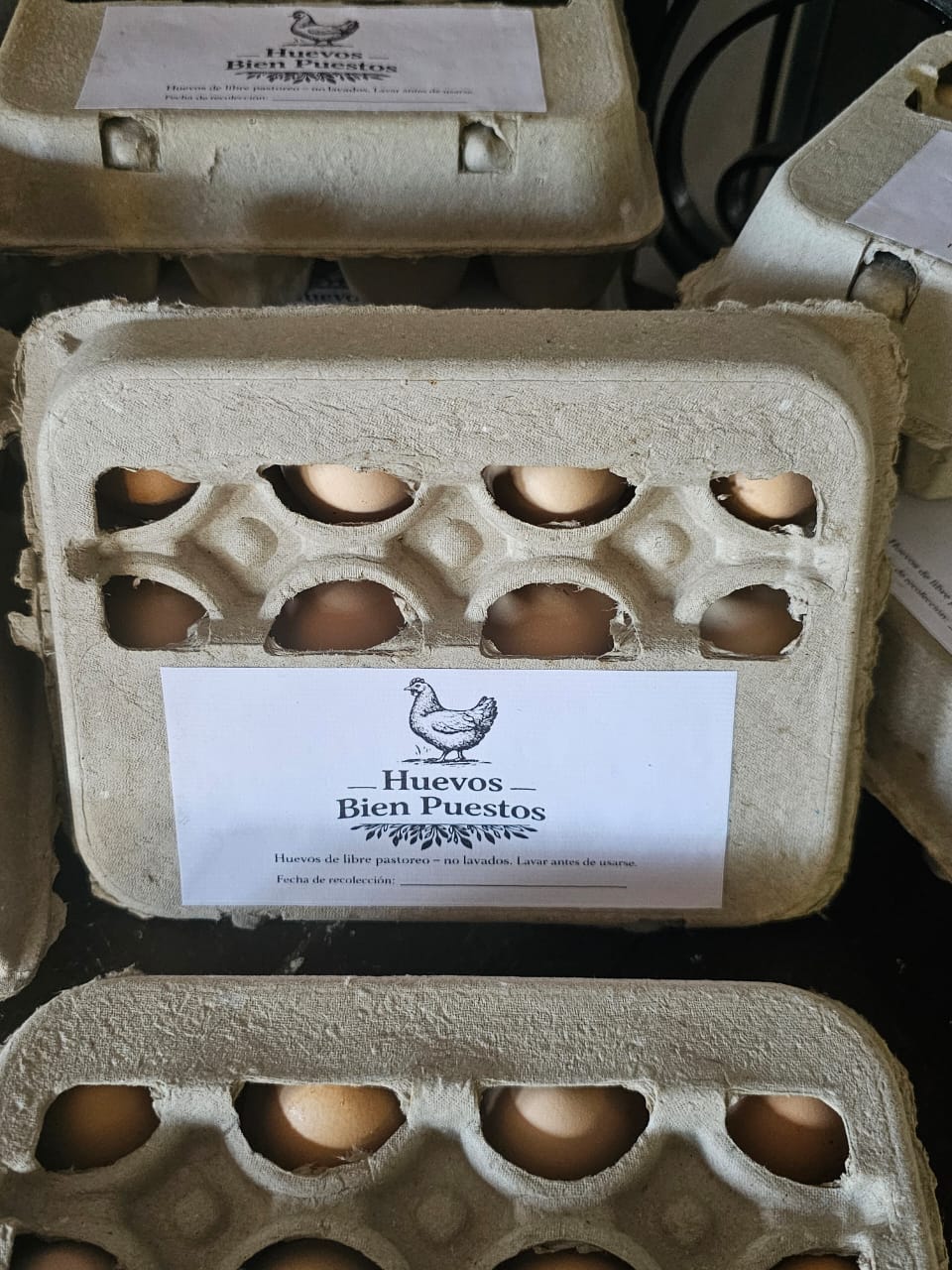 Cartón ecológico de empaque de Huevos Bien Puestos