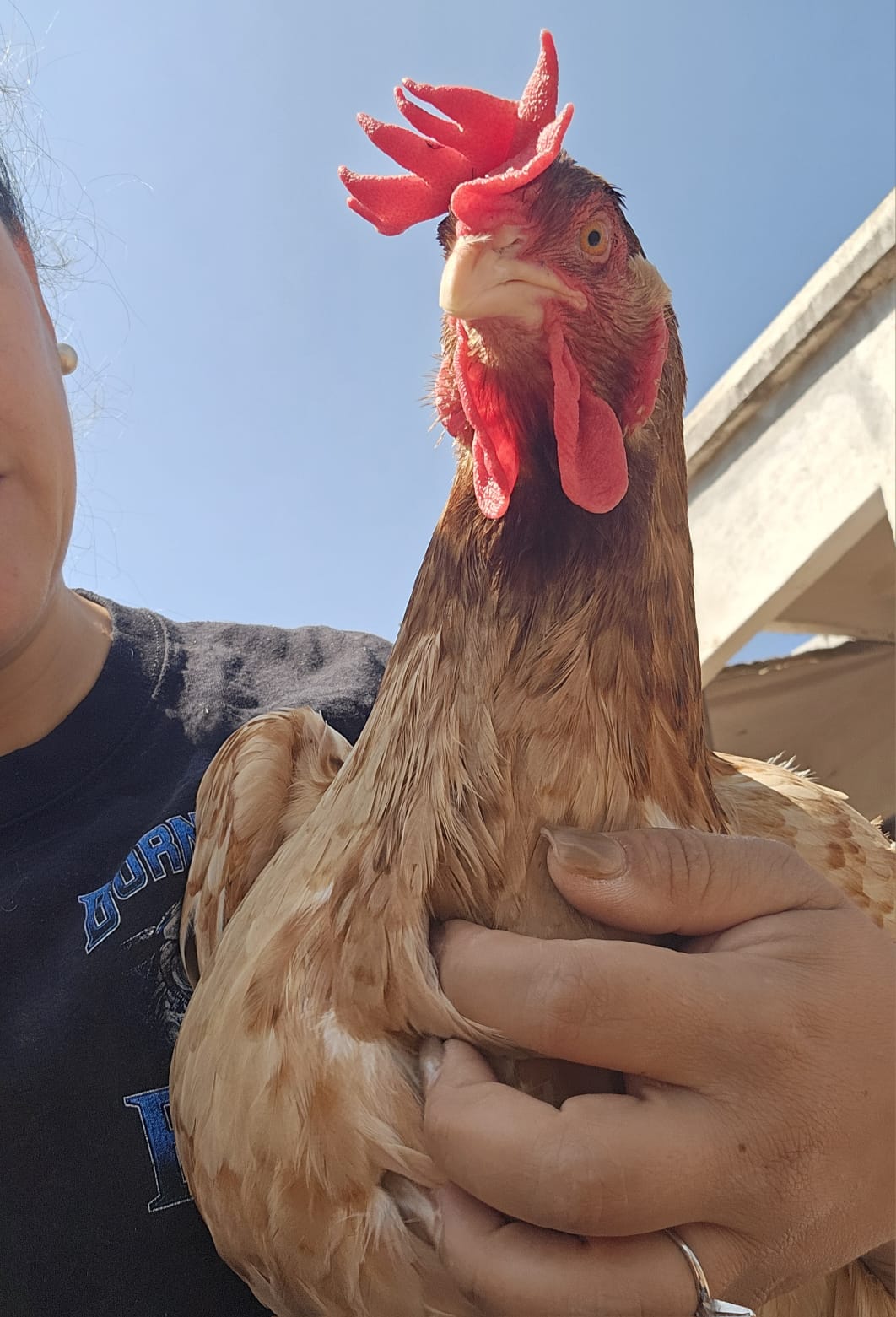 Vista general de nuestras instalaciones agrícolas en Santa Catarina
